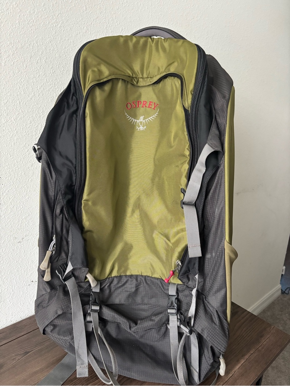 OSPREY Olive Green and Gray Men's Backpack